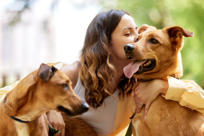 The Ultimate Guide for First-Time Dog Owners: Avoid Common Pitfalls and Build 10+ Years of Happy Companionship