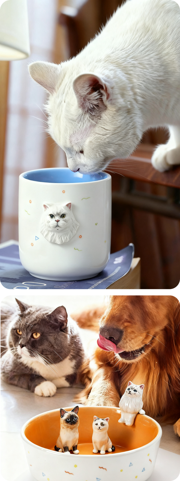 Customer testimonials collage 1