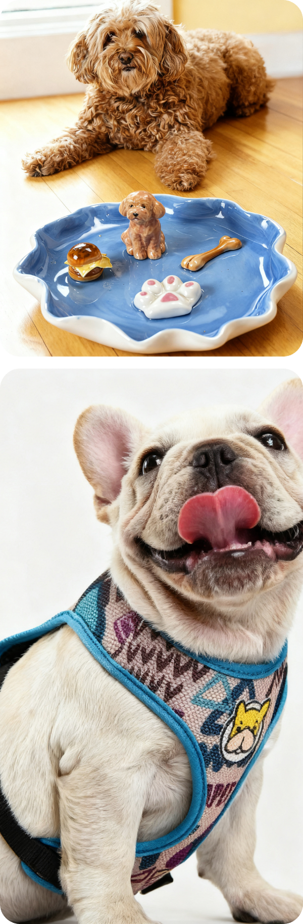 Customer testimonials collage 2