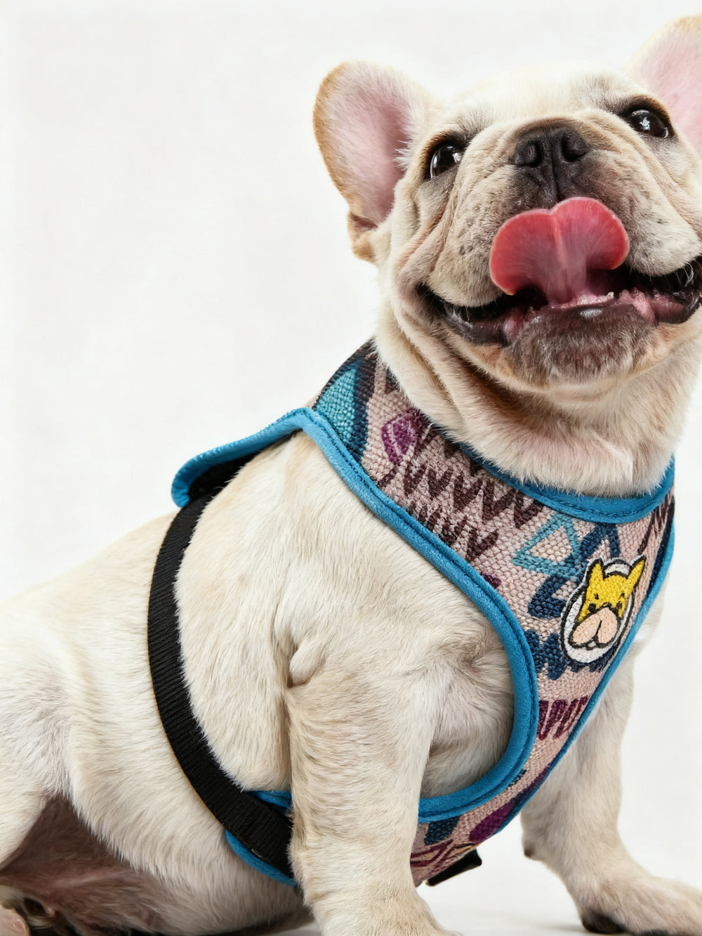 Customer testimonial