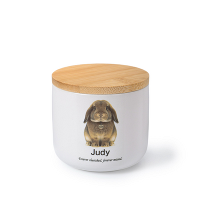 PetsonaMade Minimalist Ceramic Pet Urn – Handcrafted Memorial for All Pets (2D Hand-Painted) - Small