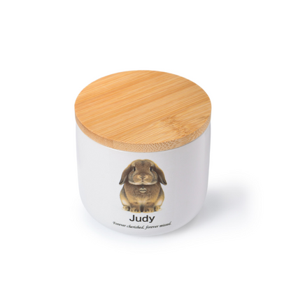 PetsonaMade Minimalist Ceramic Pet Urn – Handcrafted Memorial for All Pets (2D Hand-Painted) - Small