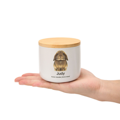 PetsonaMade Minimalist Ceramic Pet Urn – Handcrafted Memorial for All Pets (2D Hand-Painted) - Small