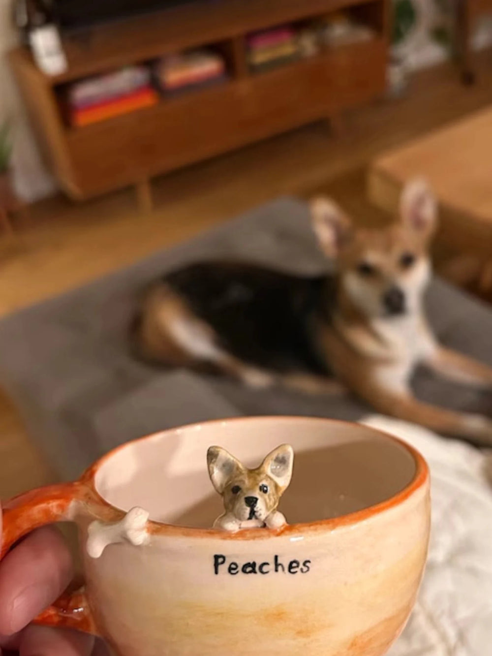 Customer testimonial