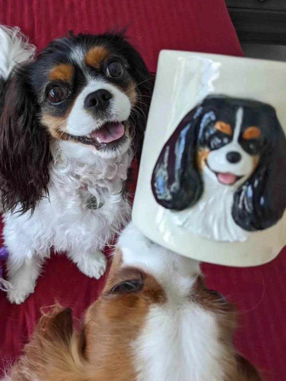 Customer testimonial